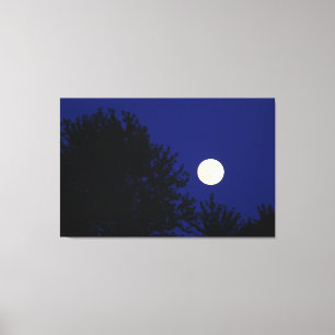 Full Moon med Träd och Blå himmel Canvastryck
