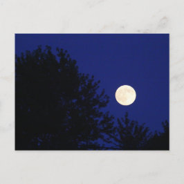 Full Moon med Träd och Blå himmel Vykort