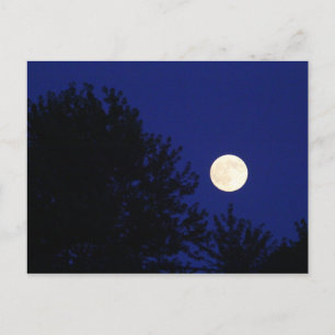 Full Moon med Träd och Blå himmel Vykort