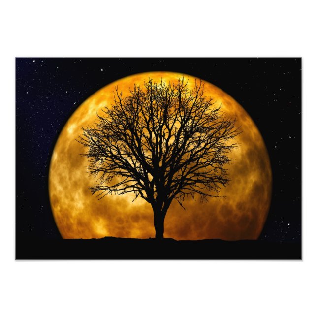 Full Moon Midnight Photo Print Fototryck (Framsidan)