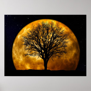 Full Moon Midnight Poster