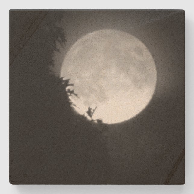Full Moon och Träd Underlägg Sten (Framsidan)