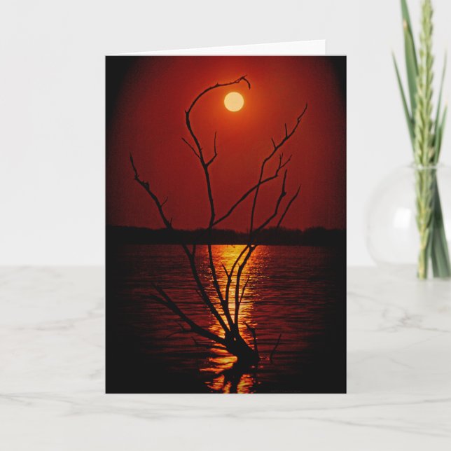 Full Moon Över Sjö-notecard Kort (Framsida)