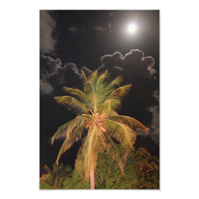 Full Moon över Tropical Handflatan Fototryck (Framsidan)
