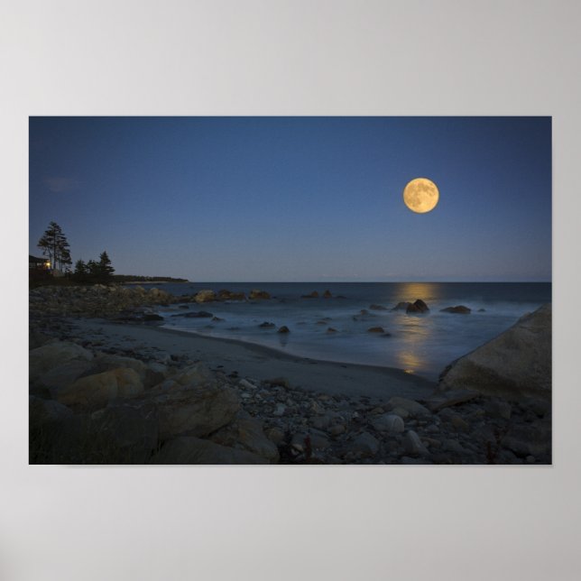 Full Moon over White Point Poster (Framsidan)