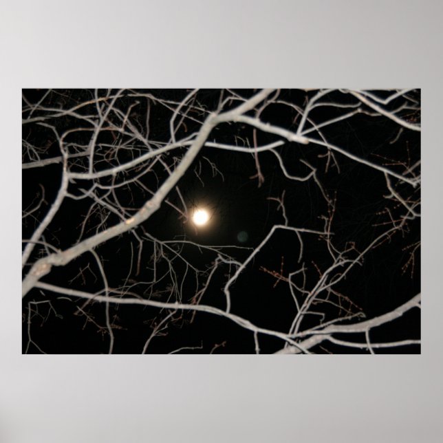 Full Moon på webbaffischen Poster (Framsidan)
