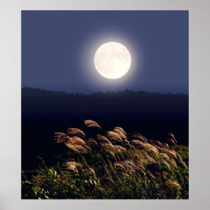 Full Moon Poster