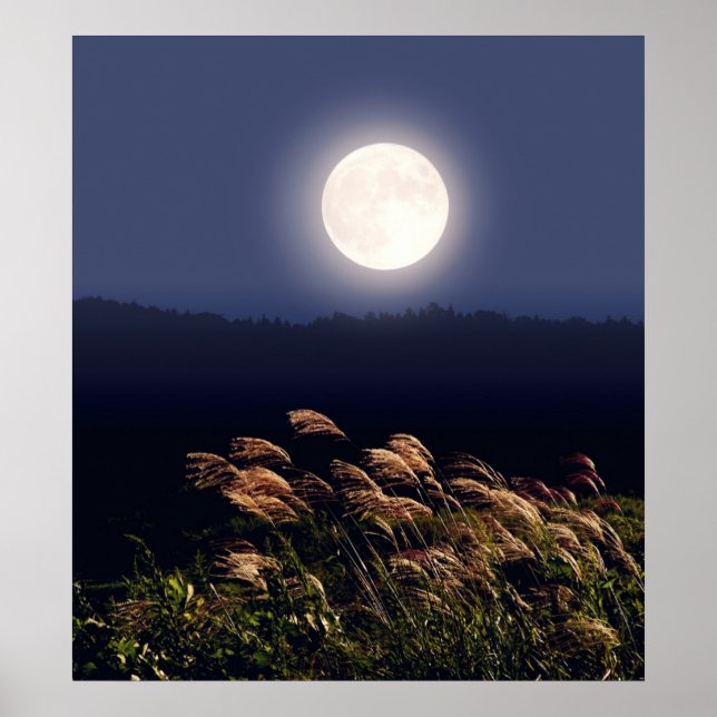 Full Moon Poster (Framsidan)