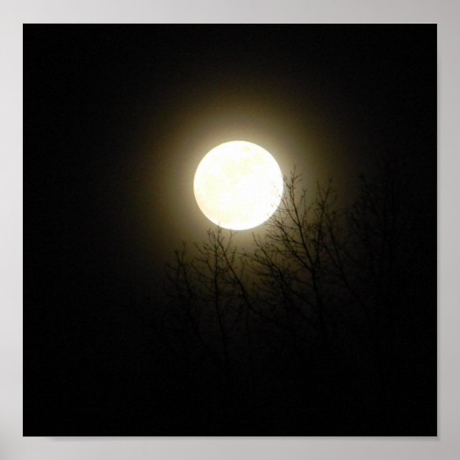 Full Moon Poster (Framsidan)