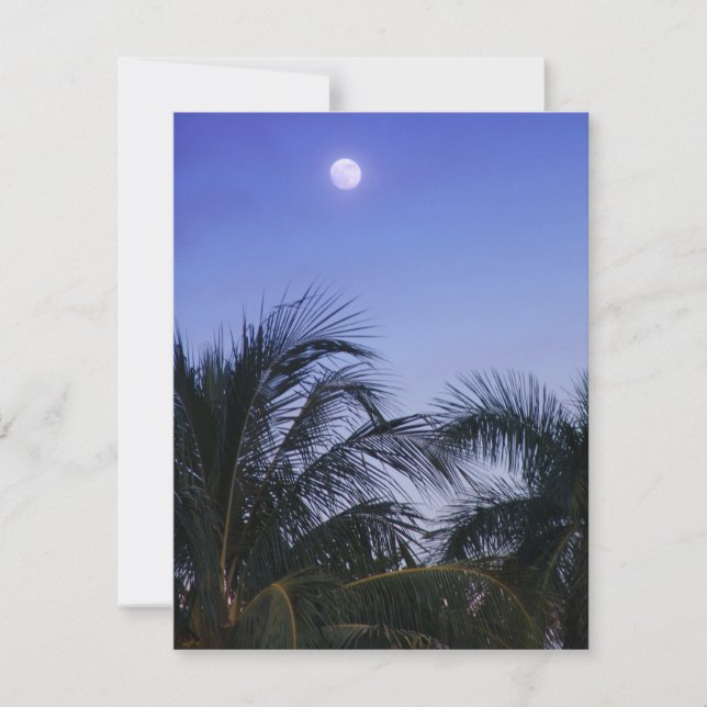 Full Moon Rises (Framsida)