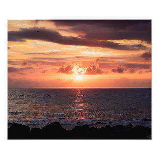 Full Moon Stigning Queensland Australien Fototryck