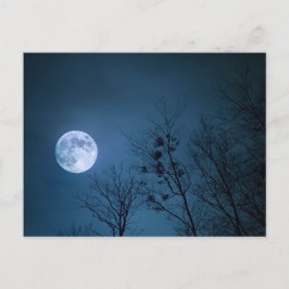 Full Moon Vykort