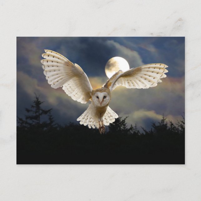 "Full Moon" Vykort (Framsida)