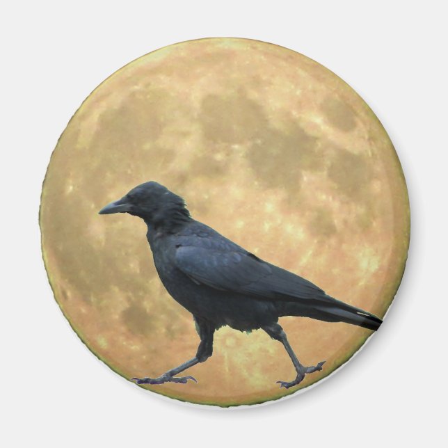Full Moon, Walking Kråka Magnet (Framsidan)