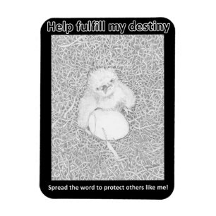 FULLGÖR HANS DESTINY SPARA WILDLIFE RÅTTA POISON MAGNET