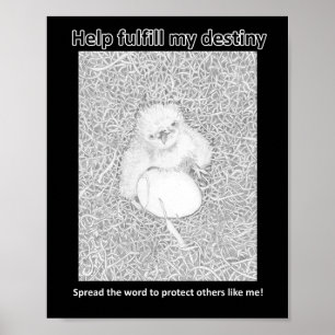 FULLGÖR MIN DESTINY SPARA WILDLIFE RÅTTA POISON DÖ POSTER