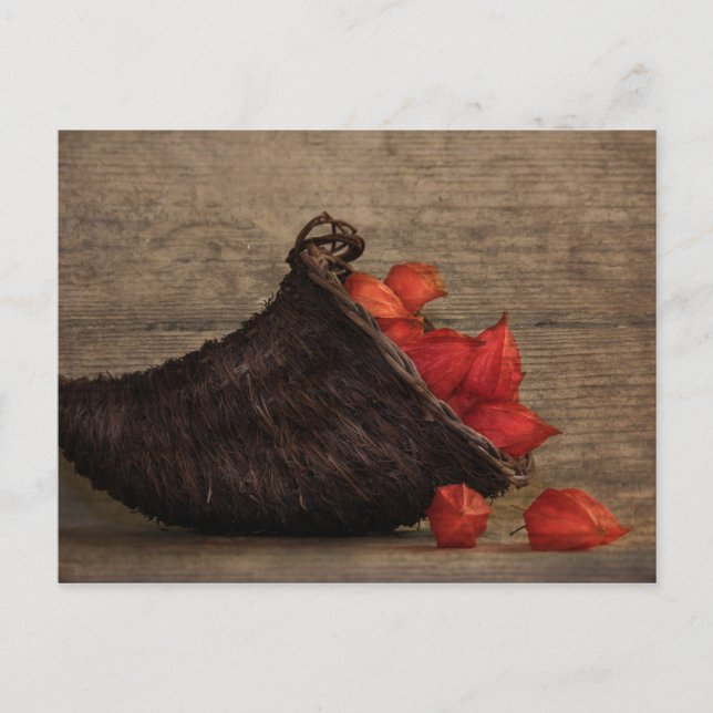 Füllhorn Vykort (Framsida)