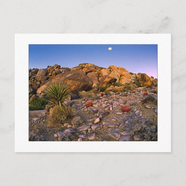 " Fullmåne går ned över Ring Of Fire" Vykort (Framsida)