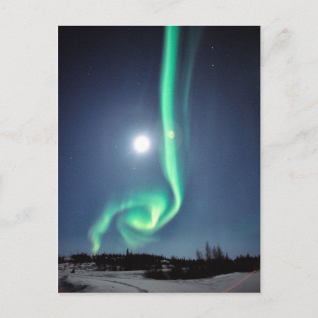 Fullmåne med Aurora | Yellowknife Kanada Vykort (Framsida)