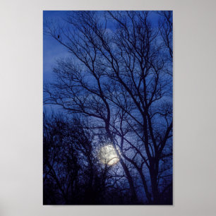 Fullmåne och månsken som är glänsande till och med poster