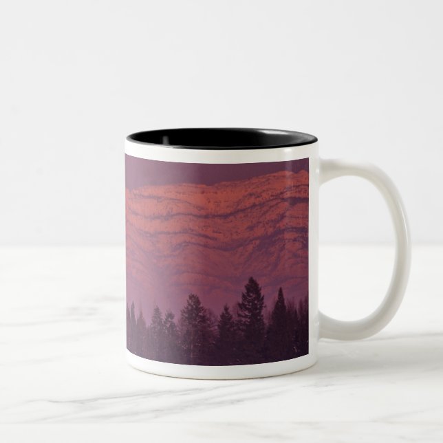 Fullmåne stiger över Teakettle Mountain under Två-Tonad Mugg (Höger)