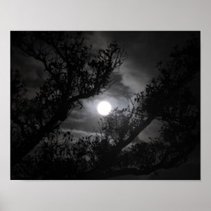 Fullmåne till och med grenarna poster