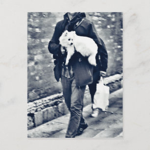 fullsizeoutput_c78 Black and White Pomeranian Vykort