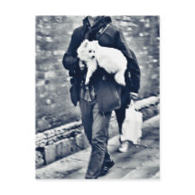 fullsizeoutput_c78 Black and White Pomeranian