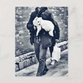 fullsizeoutput_c78 Black and White Pomeranian Vykort