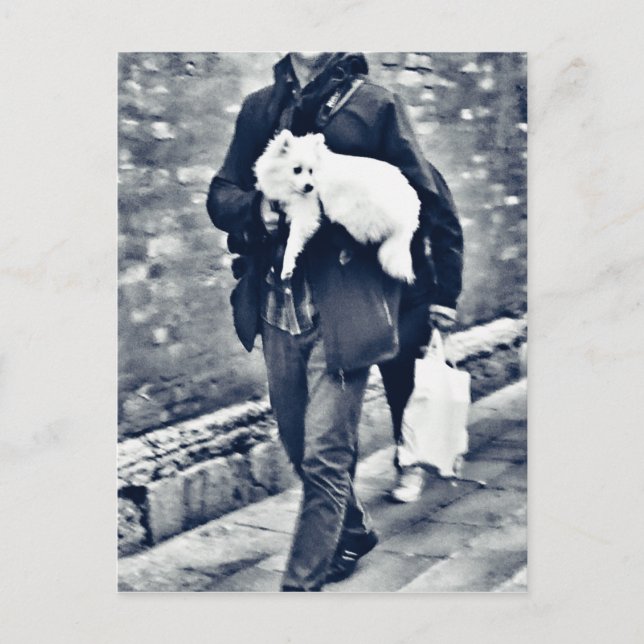 fullsizeoutput_c78 Black and White Pomeranian Vykort (Framsida)