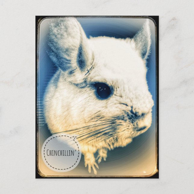 FullSizeRender Chinchillin Vykort (Framsida)
