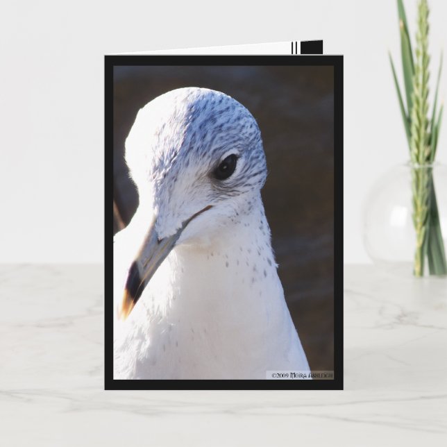 Fullständig kontrast kort (Framsida)