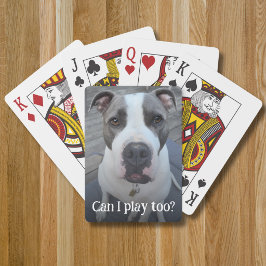 Fullständig rolig husdjursfotomal casinokort