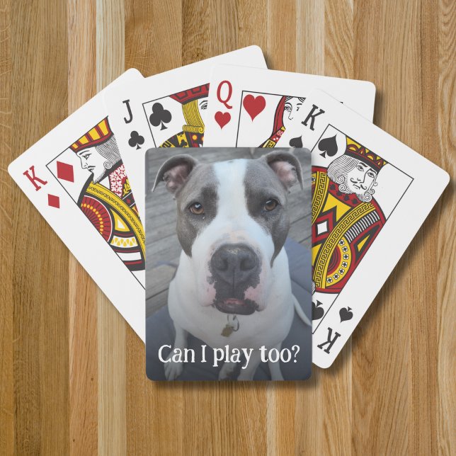 Fullständig rolig husdjursfotomal casinokort (Skapare uppladdad)