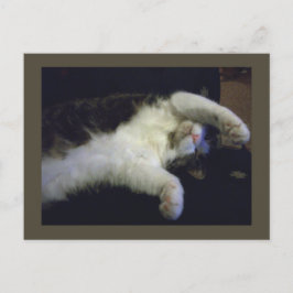 Fullständigt Chillin-vykort Vykort