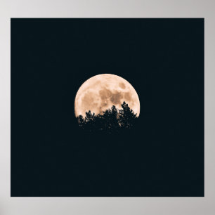 FULLSTÄNDIGT MOON BAKOM EN TRÄD SILHOUETTES POSTER