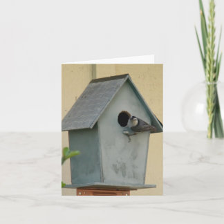 FULLT BIRDHOUSE BLANK NOTECARD KORT