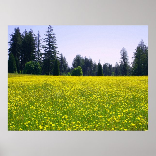 Fullt-blogg Poster (Framsidan)