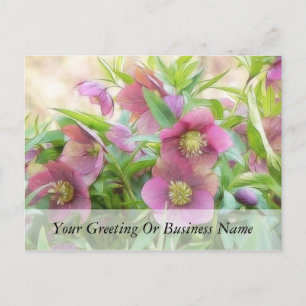 Fullt Bloom - Hellebores! Vykort