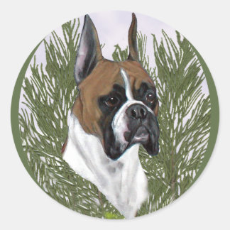 Fullt Boxer Head Study Runt Klistermärke