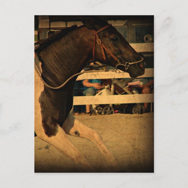 Fullt hastighet framåt vykort (Framsida)