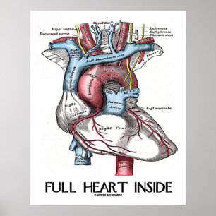 Fullt Hjärtat Inside Anatomical Illustration Poster