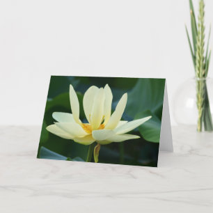Fullt lotusblommakort kort