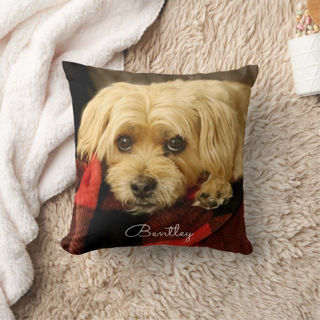 Fullt Photo Pet Pillow | SNÖFLINGOR Kudde (Filt)