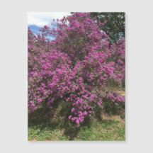 Fullt Rebel Sage Magnet