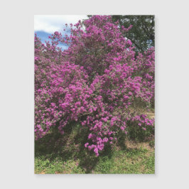 Fullt Rebel Sage Magnet