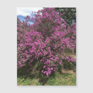 Fullt Rebel Sage Magnet