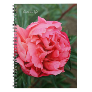Fullt Rosa Peony Anteckningsbok