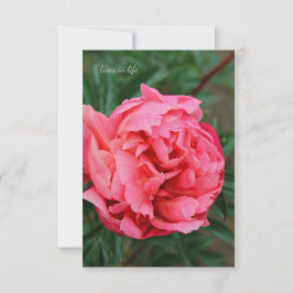 Fullt Rosa Peony Anteckningskort
