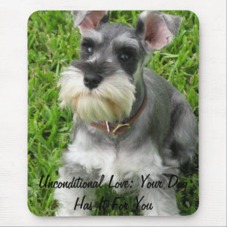 Fullt Storlekare Mini Schnauzer-musmatta Musmatta